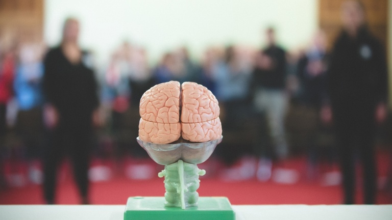 Neuroscience of LIFE